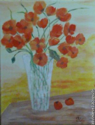 mes premiers coquelicots